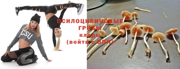 Альфа ПВП Арсеньев