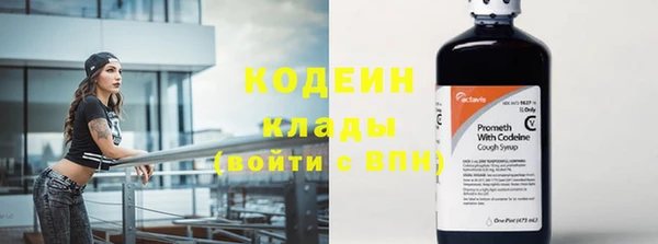 ГАЛЛЮЦИНОГЕННЫЕ ГРИБЫ Аркадак