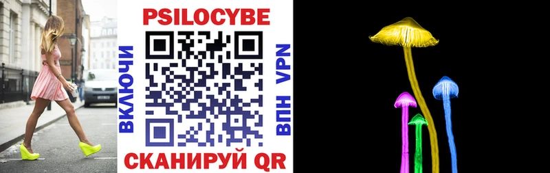 kraken ТОР  Куровское  Галлюциногенные грибы Psilocybe 